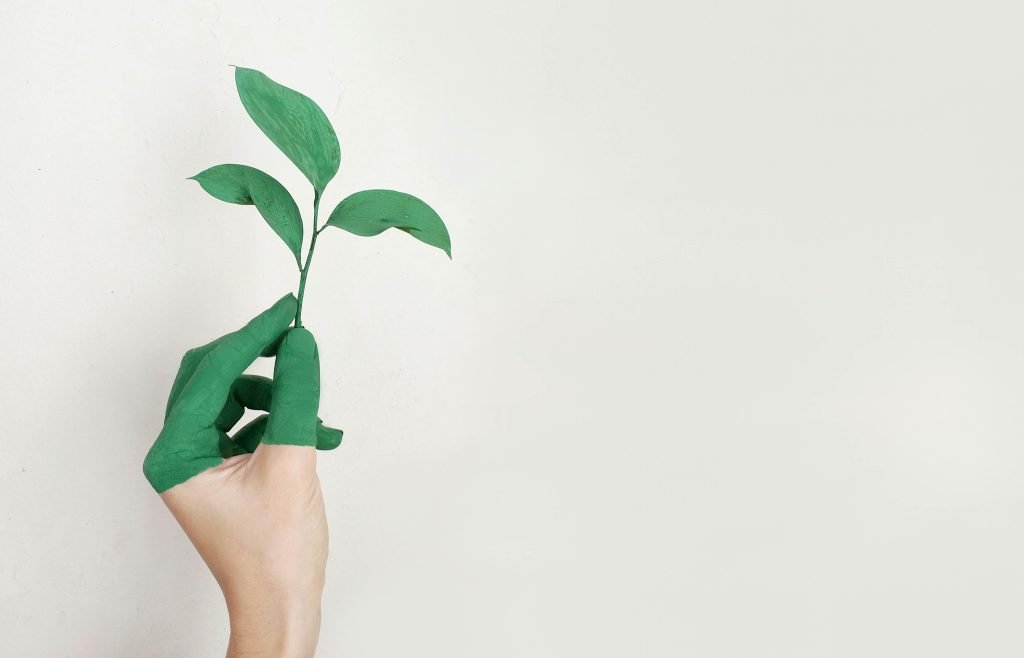 Crystalcare’s Green Innovations The Future of Eco-Cleaning